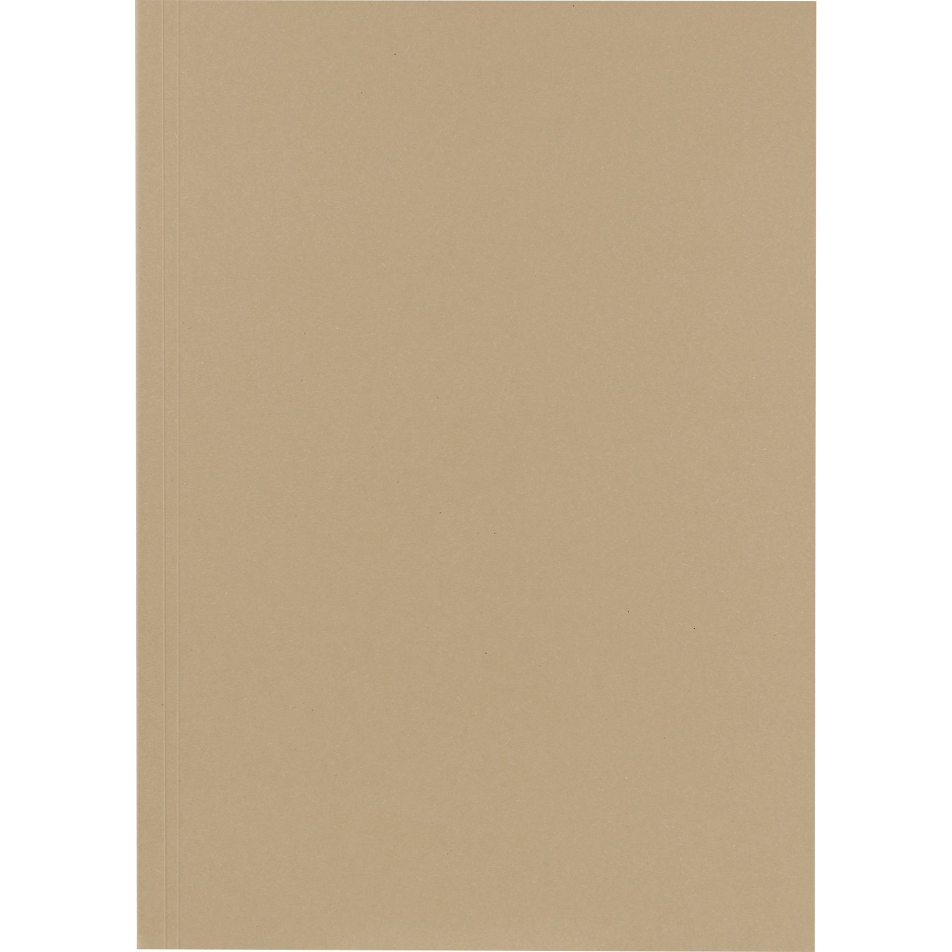Aktendeckel 23x32cm 250g gr 100 St./Pack.