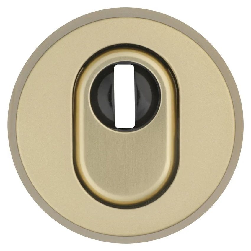 ABUS Schutzrosette "RHZS415 F3 EK"