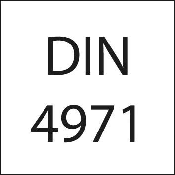 Icon: nextPIM_8BB0350EEA318C10F45232017EF5147C1047E94541D0DB689D56C211E85473DA_10223.jpg