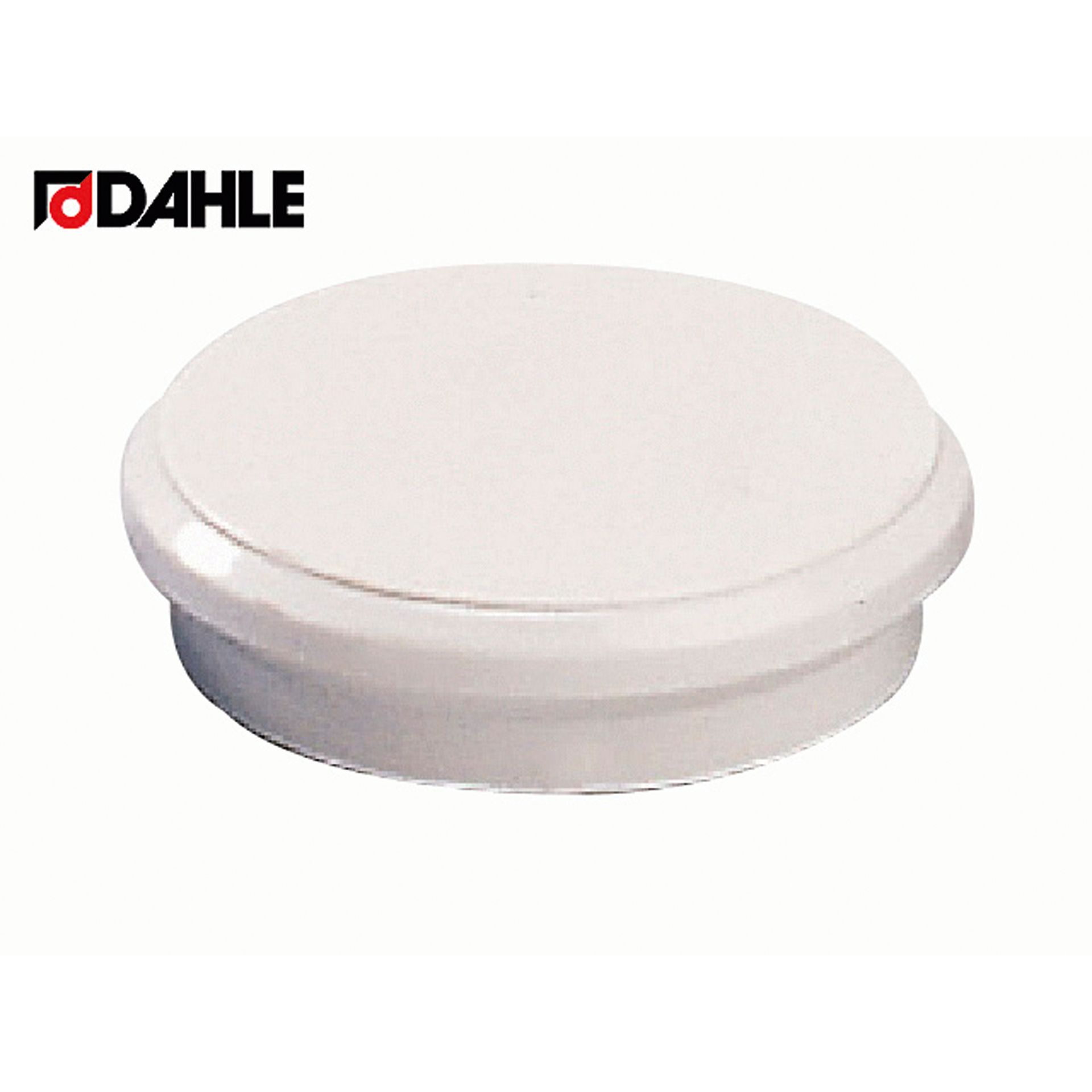 Haftmagnet 24mm ws 10 St./Pack.