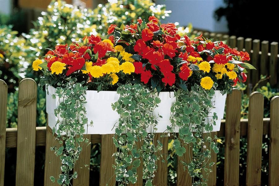 city gardening Vollautom.Blumenkastenbewässerung Gardena