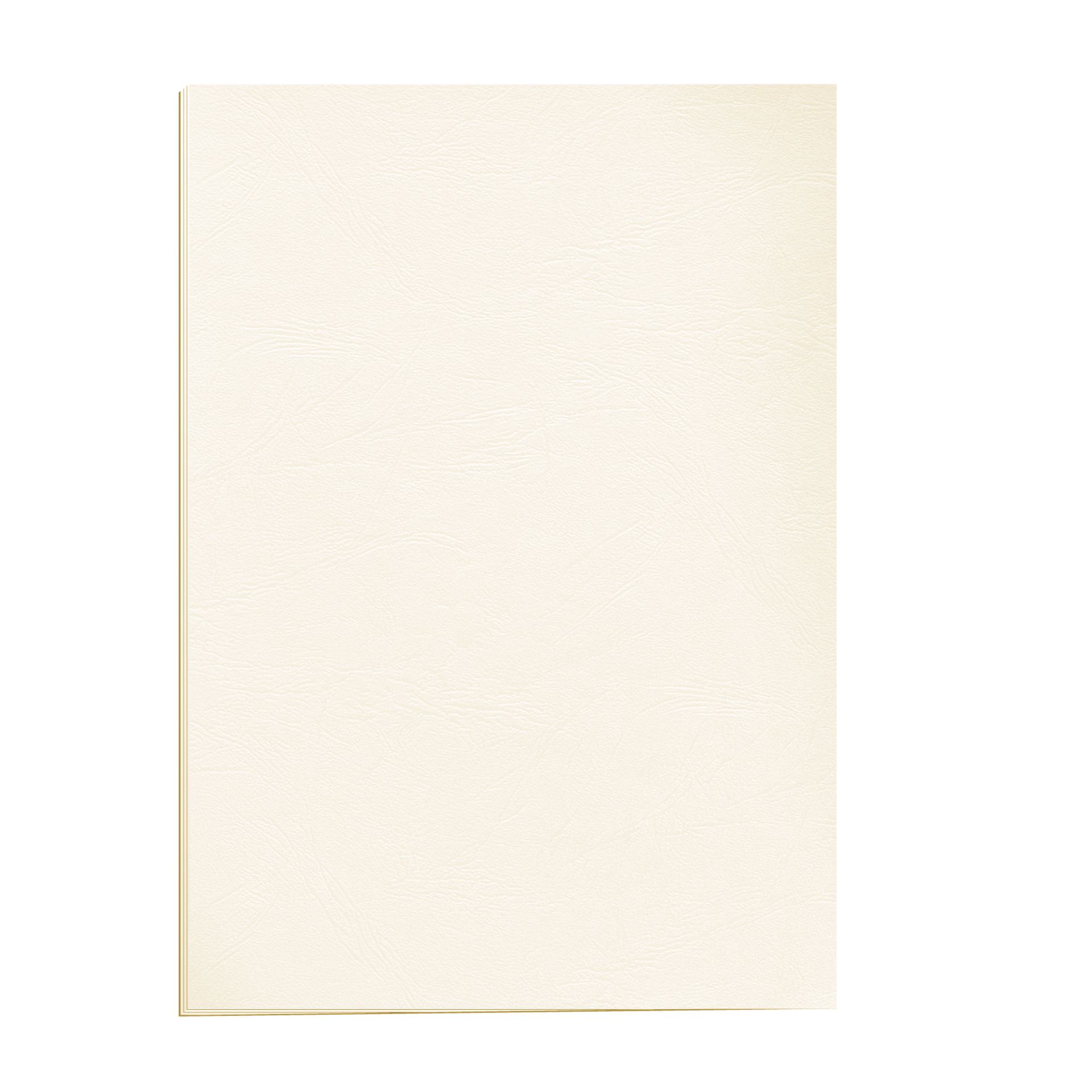 Deckblatt Delta DIN A4 elfenbein 100 St./Pack.
