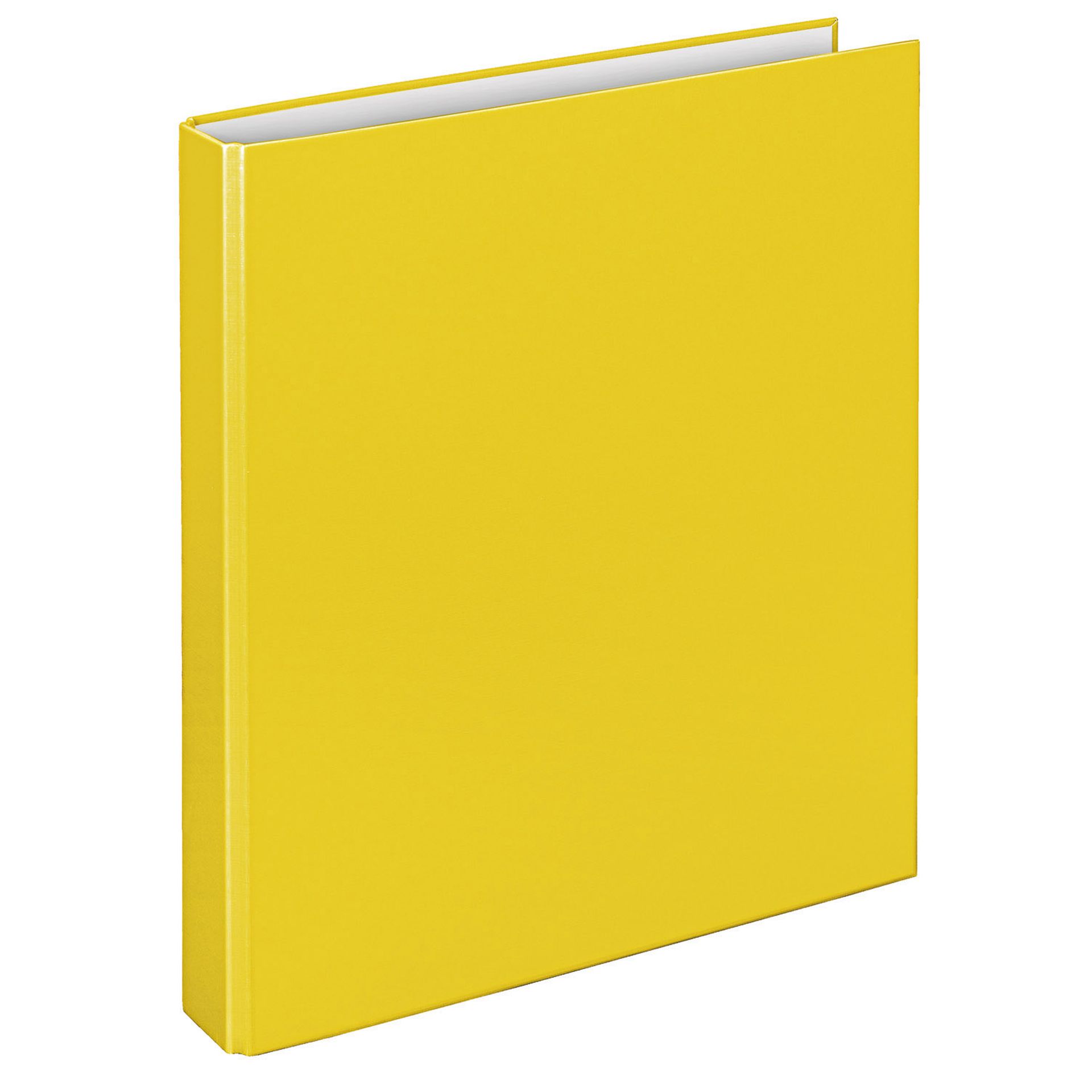 Ringbuch Basic A4 2Rg 25mm ge