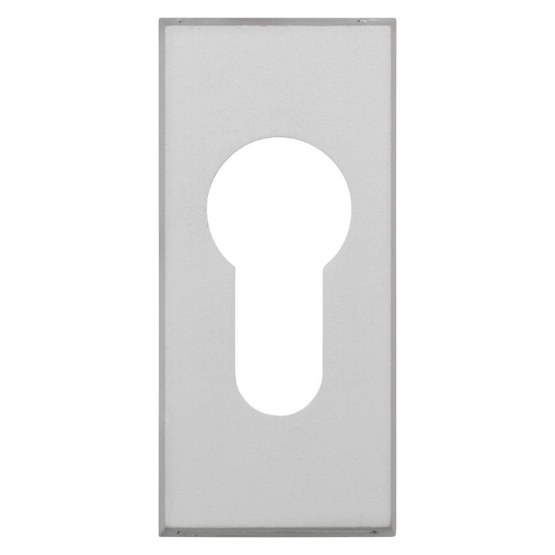 ABUS Schutzrosette "RS309 F1 C/DFNLI"