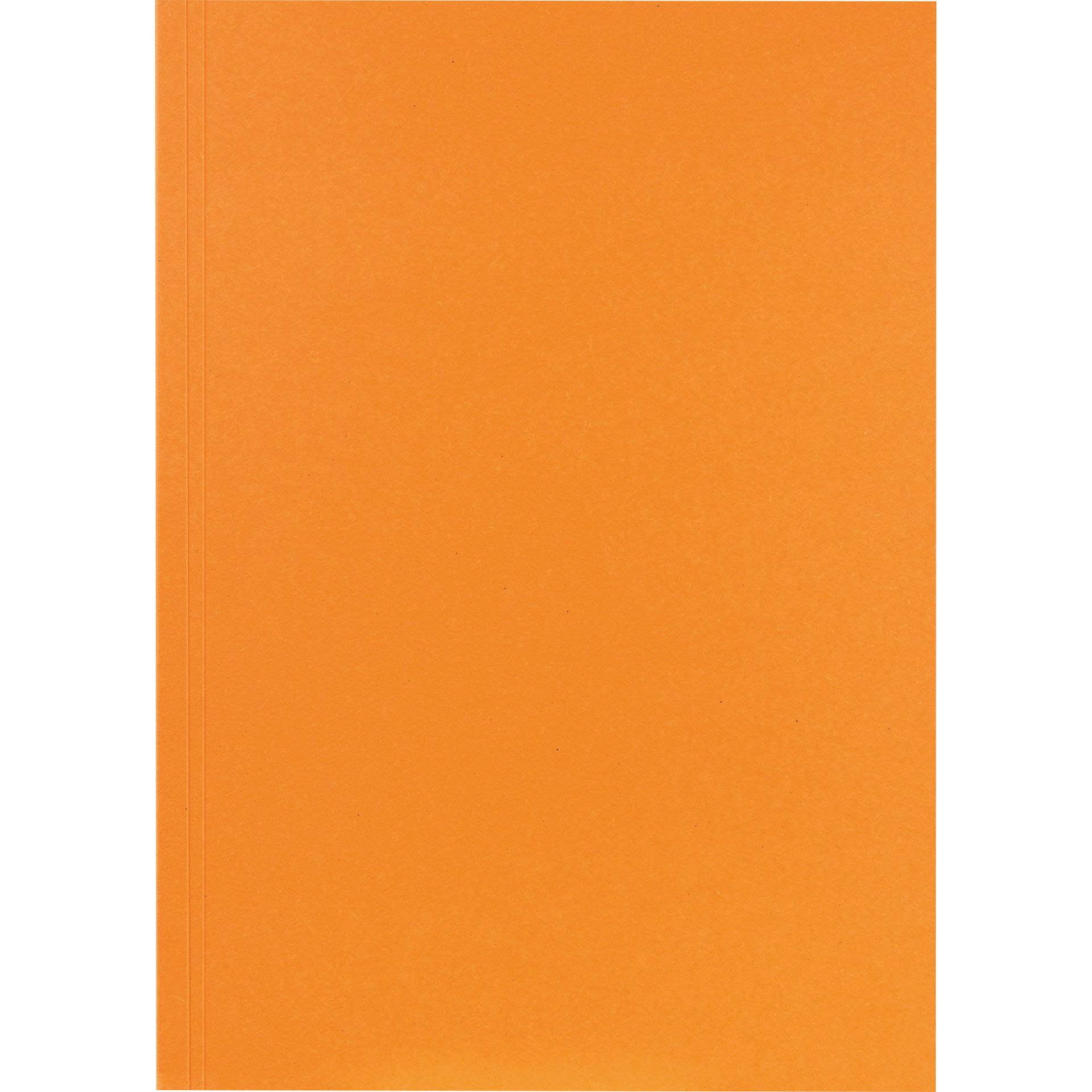 Aktendeckel 23x31,8cm 250g or 100 St./Pack.