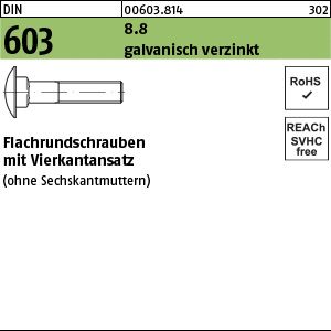 Flachrundschrauben 8.8 galvanisch verzinkt