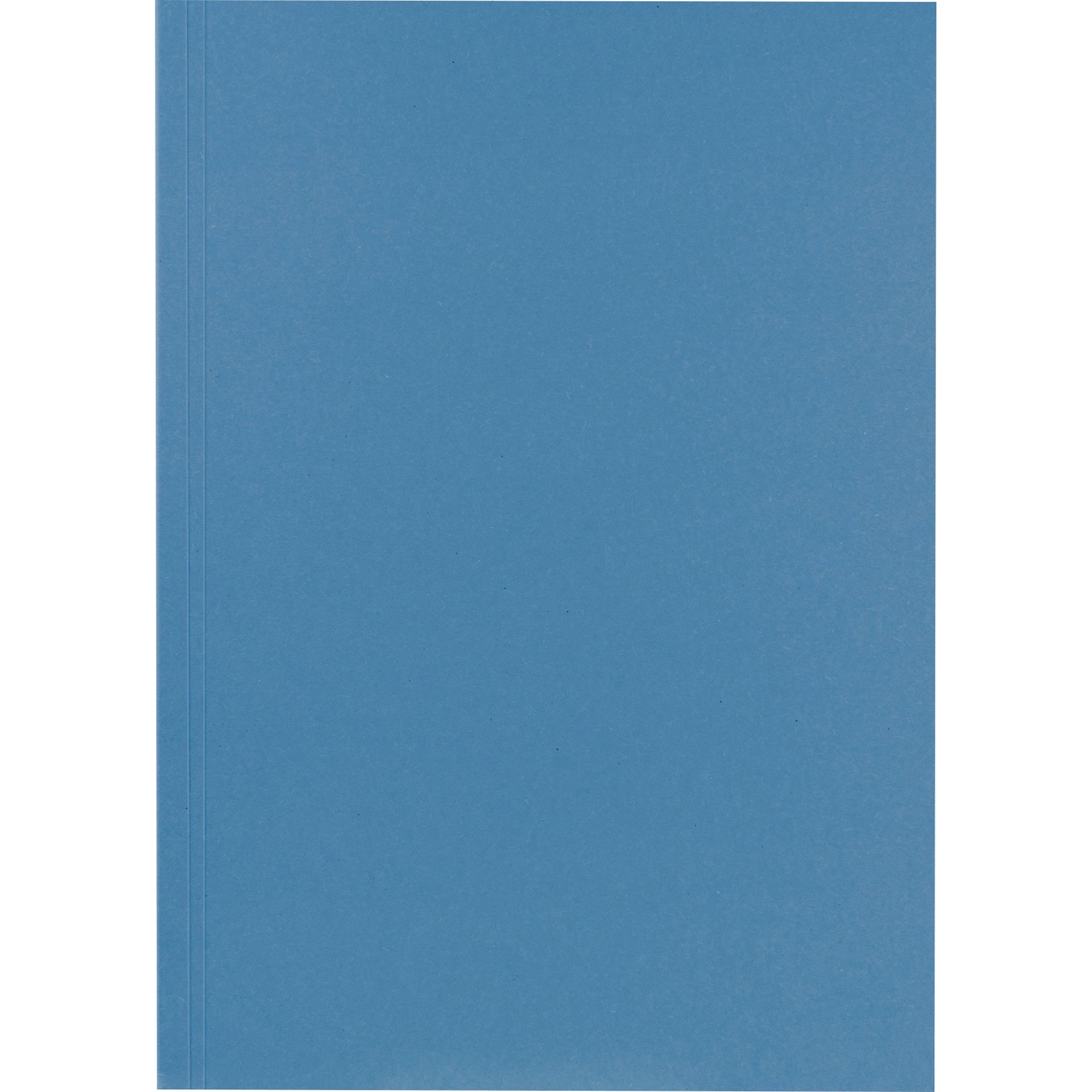 Aktendeckel 23x31,8cm 250g bl 100 St./Pack.