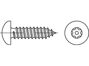 ART 88114 Sicherh. Schr. (D7981) A 2 5,5 x 19 mit Pin-ISR T27 A 2 S