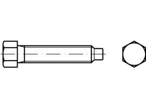 DIN 561 22H / 8.8 BM 24 x 70 S