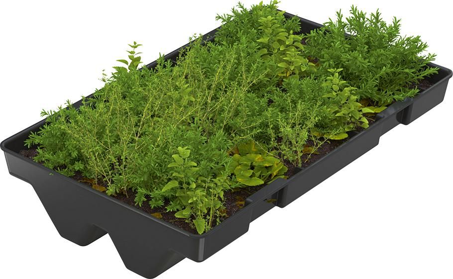 Dachbegrünung GreenPlus Economy zu Raucherunterstand Köln K2