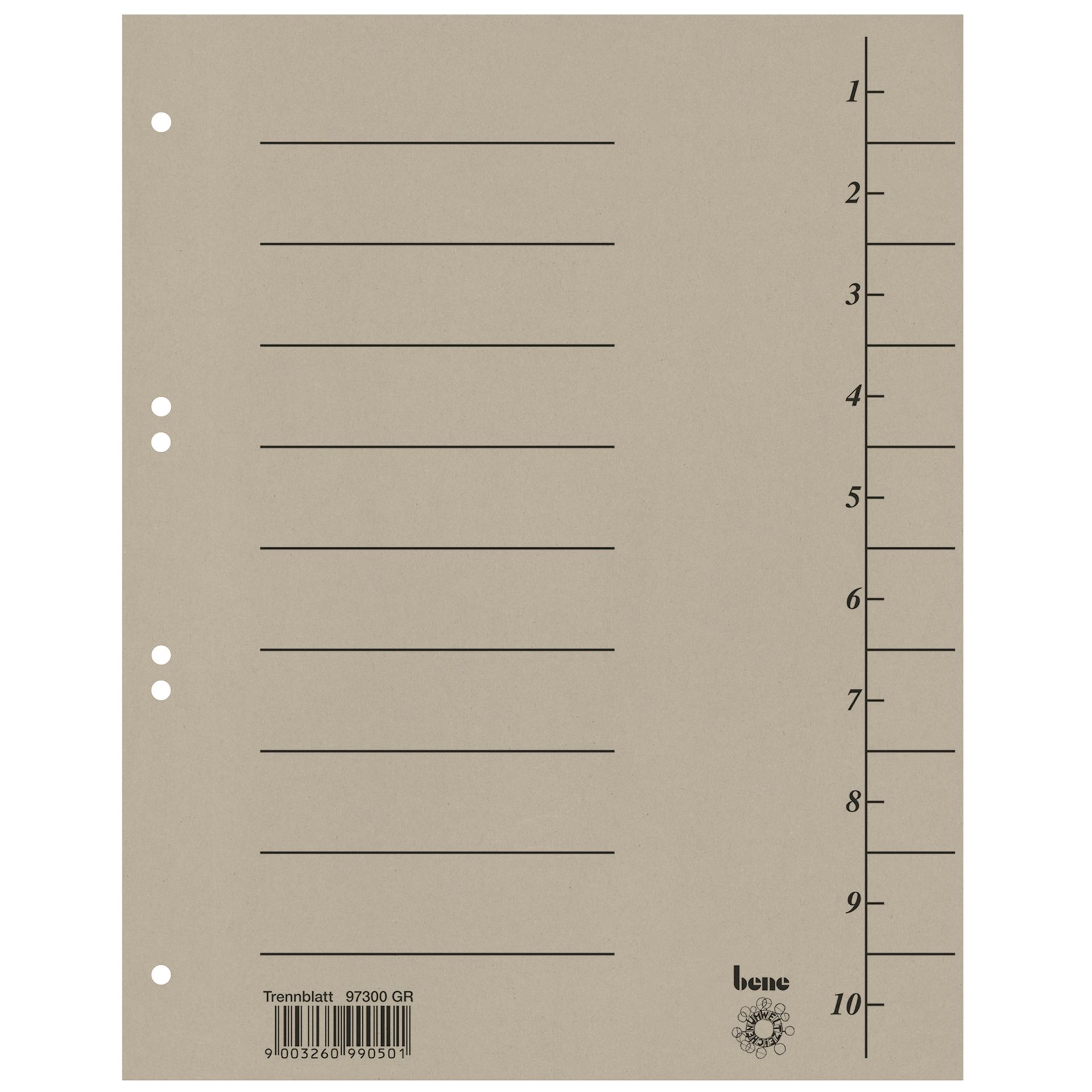 Trennblatt A4 Karton grau 100 St./Pack.