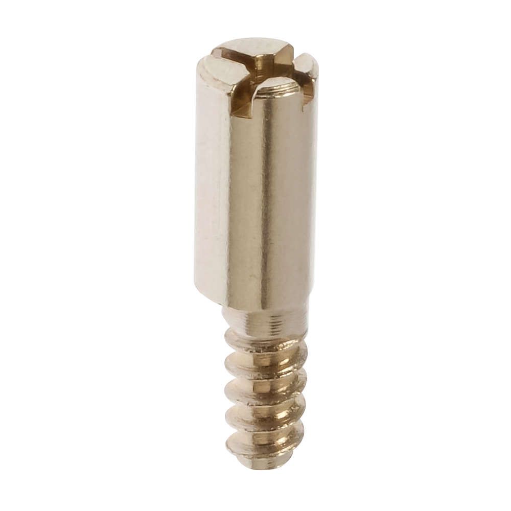 Schließbolzen zum Einschrauben, 5 mm Bohrloch