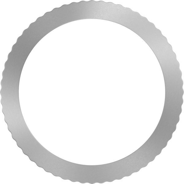 Bosch Reduzierring