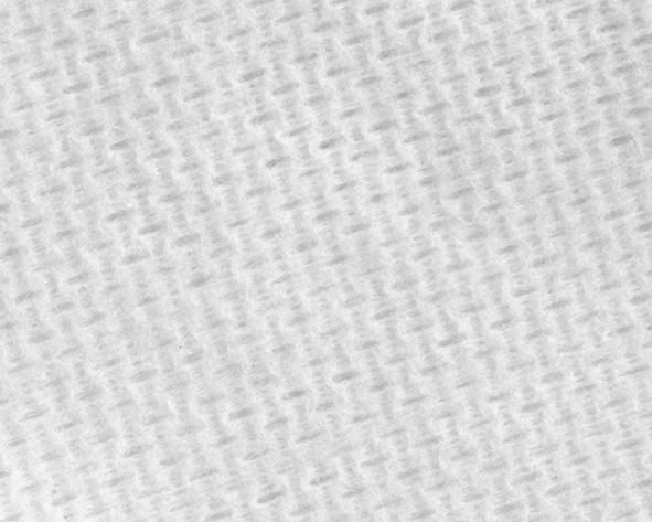 WIPEX-SPEZIAL Rolle Wisch-/Poliertuch weiß 30 x 38cm