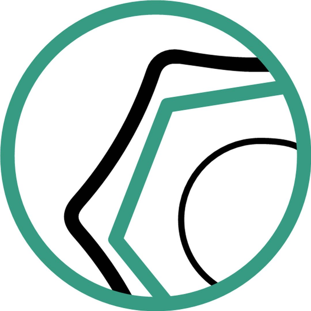 STAHLWILLE Krähenfuß-Ringschlüssel