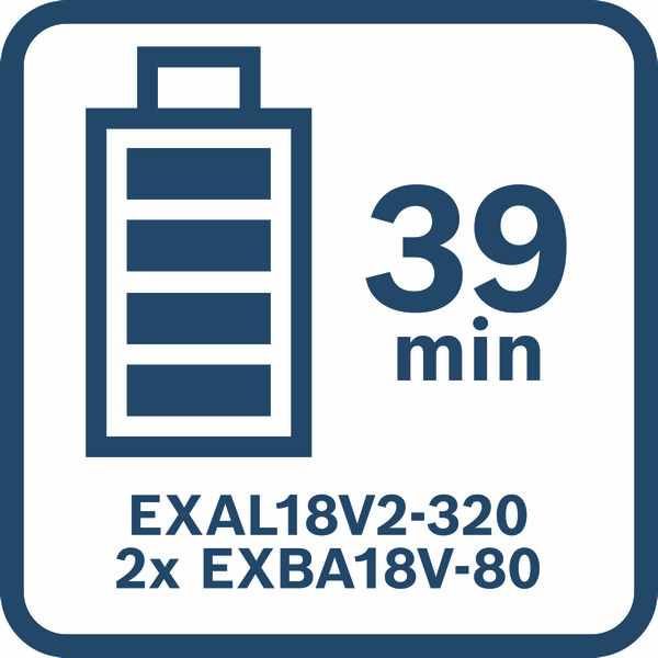 Ladegerät EXAL18V2-320