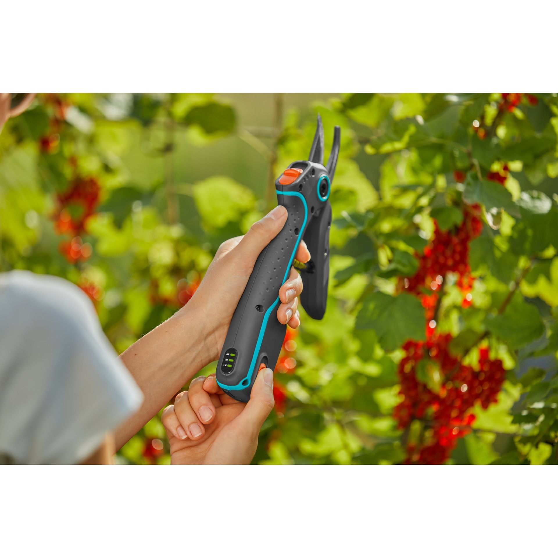 Gartenschere AssistCut