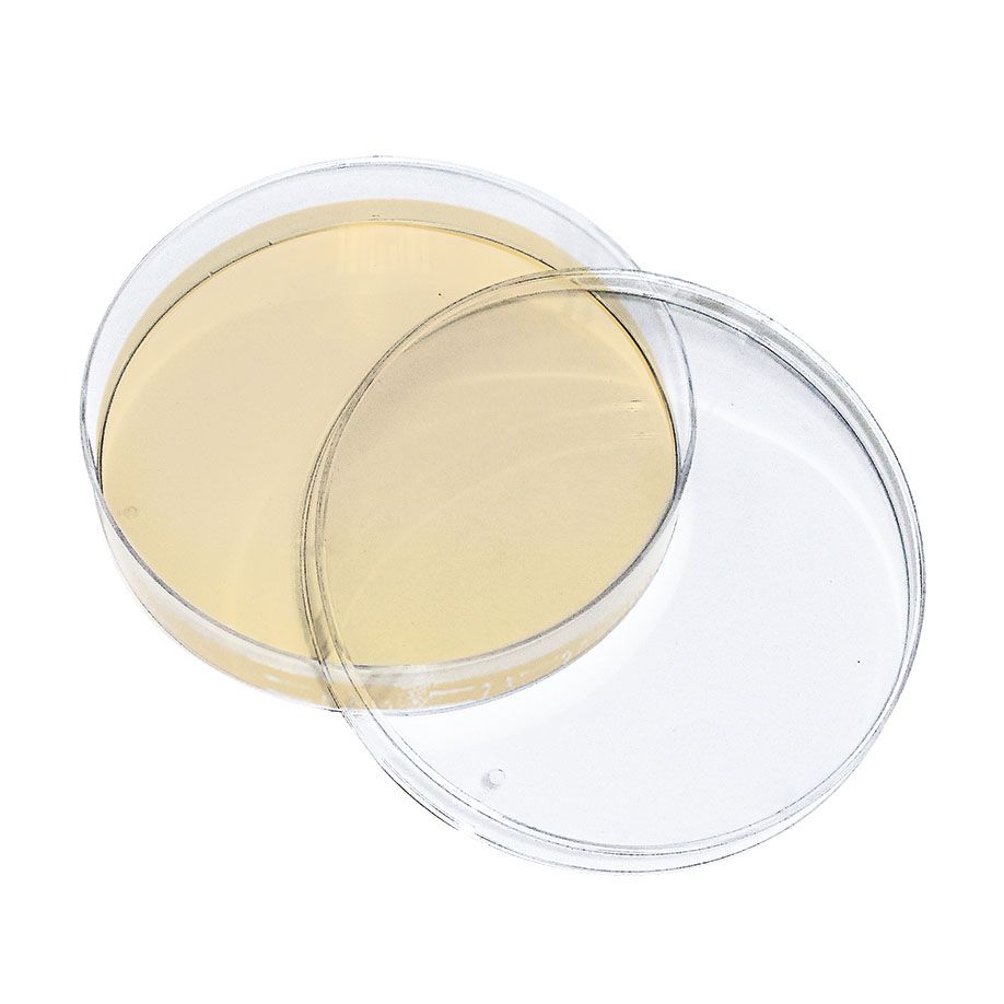 Dermasel-Agar(10 Fertigplatten)**Kühlware**