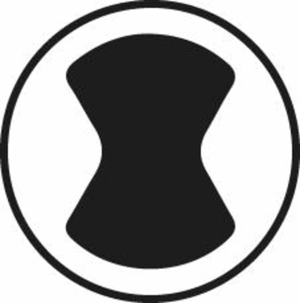 Bit-Sortiment 75-teilig FORTIS