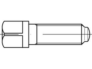 DIN 480 10.9 M 16 x 80 SW 17 S