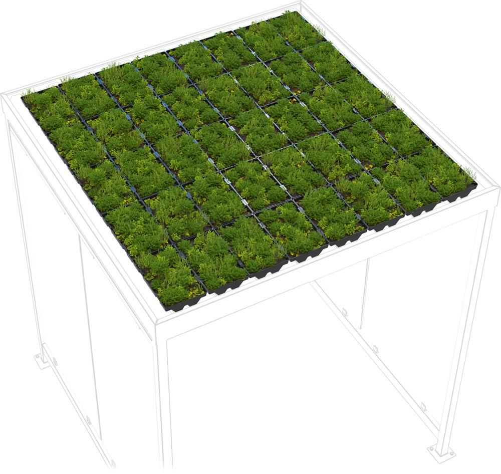 Dachbegrünung GreenPlus Economy zu Raucherunterstand Köln K2