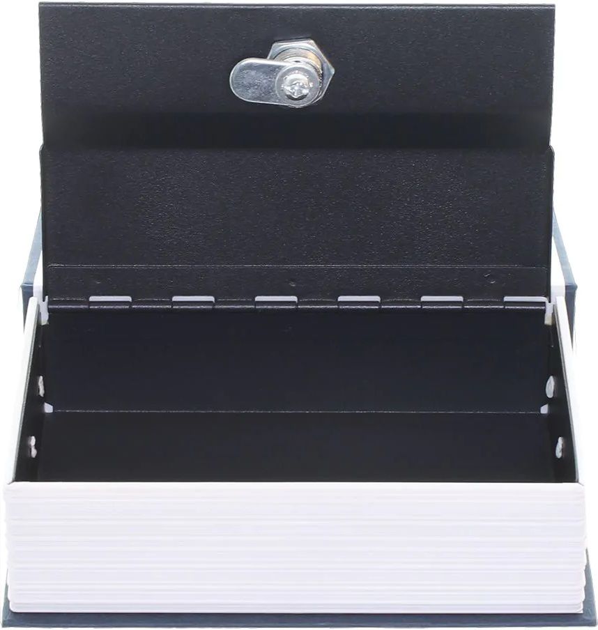 ROTTNER Buchtresor Book Case Blue