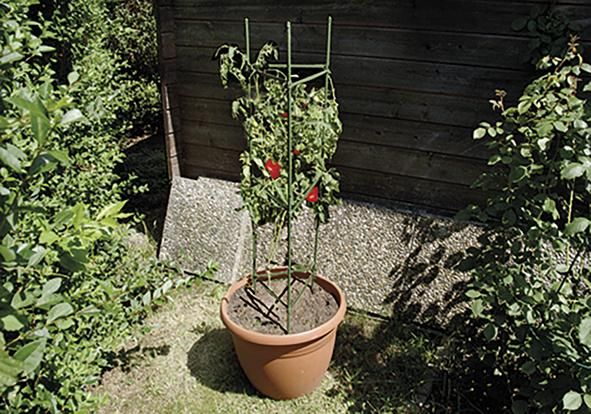 Tomatenreifeturm Classic Ø 35-40cm,150x30cm grün