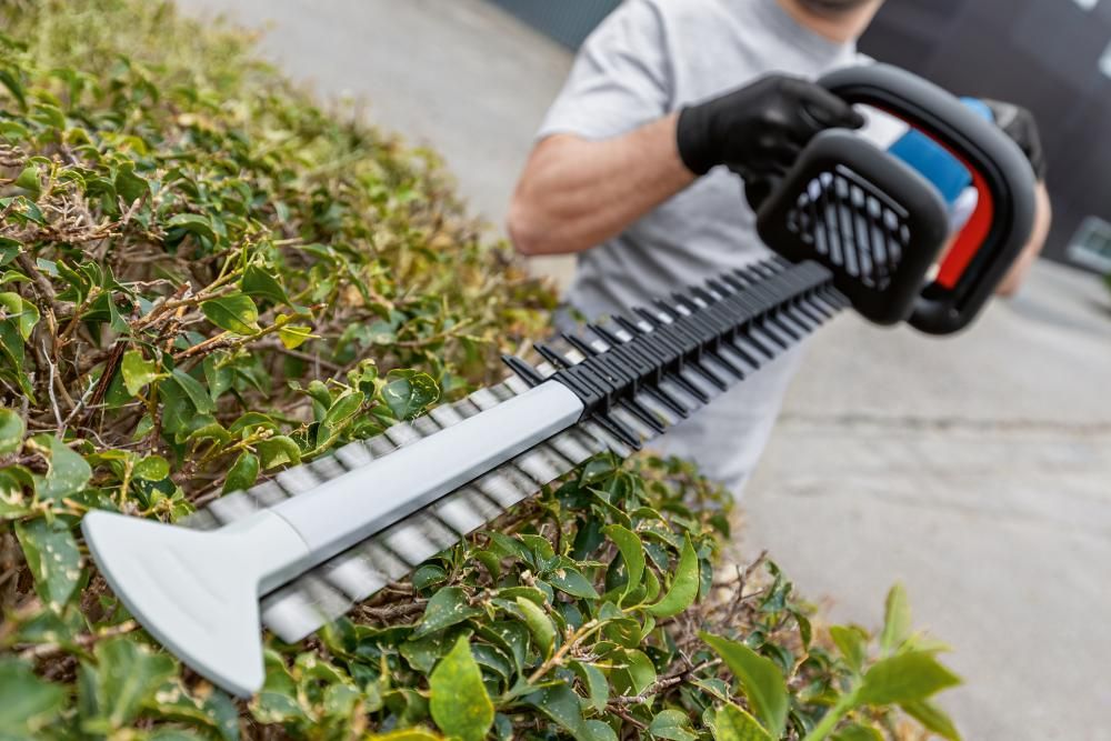 Akku-Heckenschere solo GHE 18V-60 Bosch ohne Akku ohne Ladegerät Karton