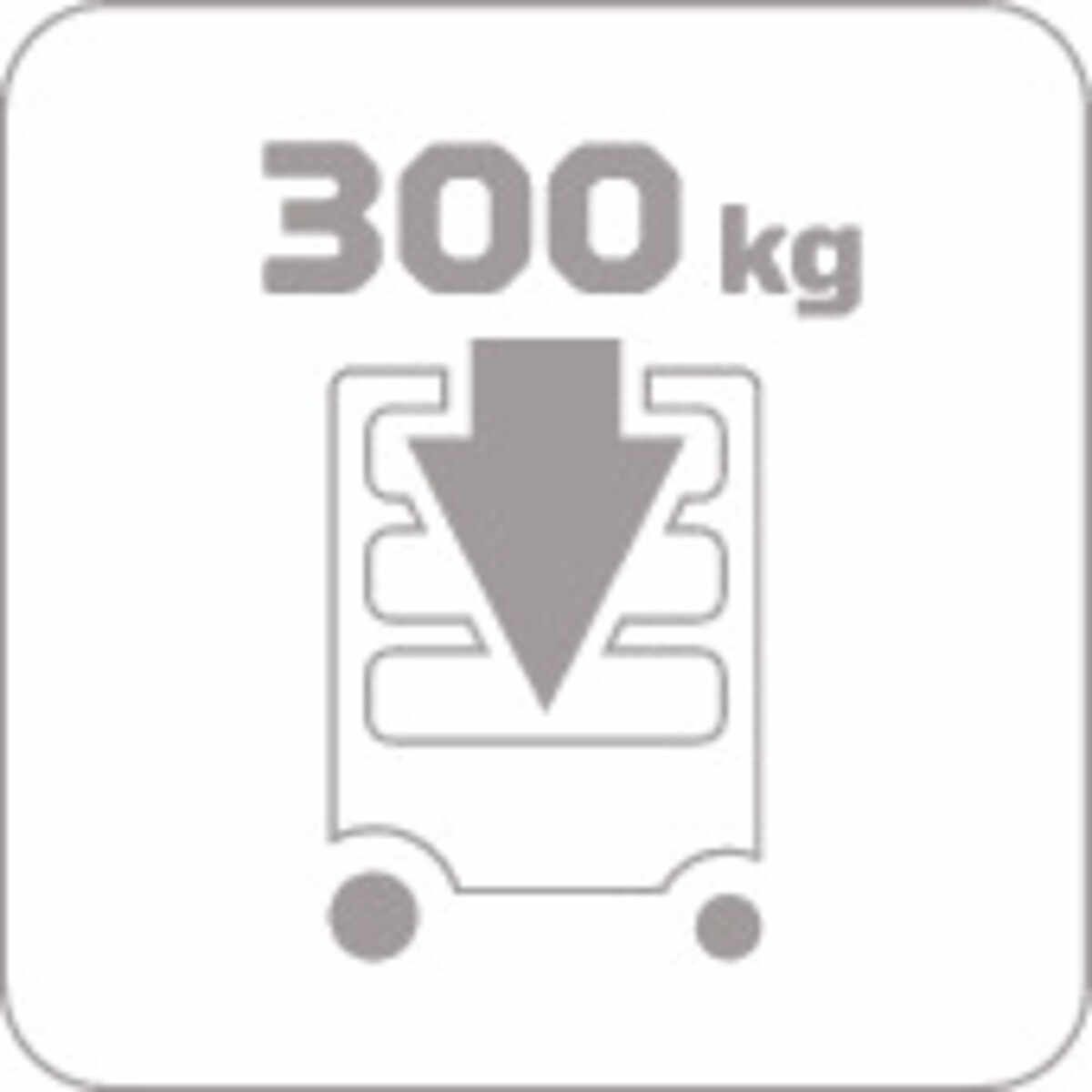 Icon: sgn_pc_17a_traglast_300kg_wagen_mobil__seal.jpg