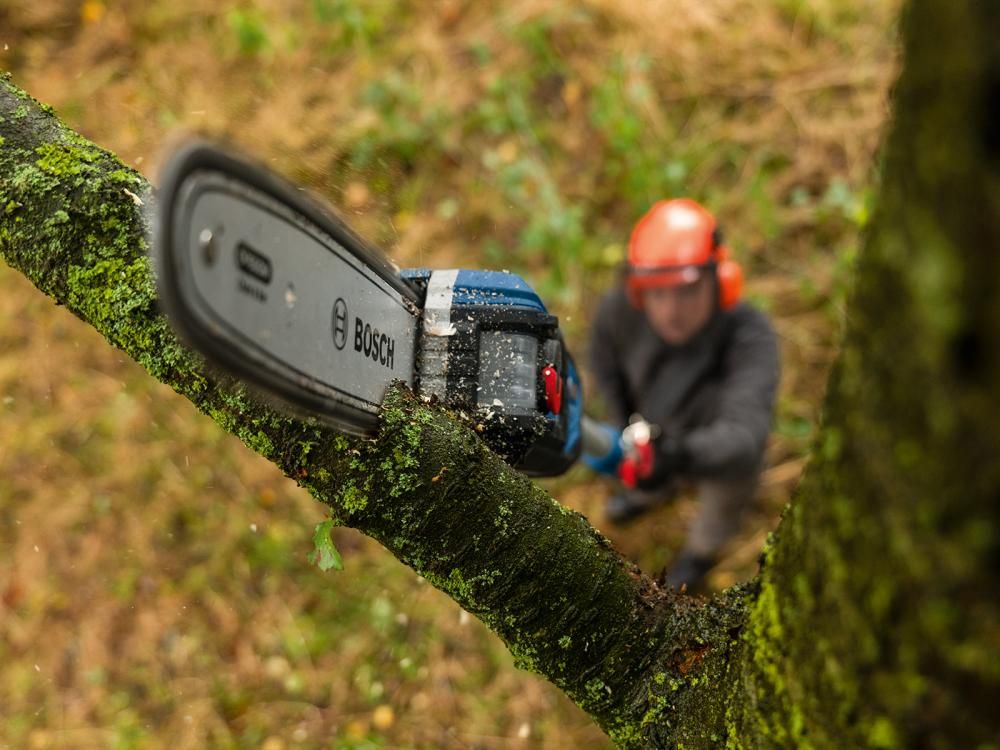 PRO 25cm Sägekette (1,1mm, 0.325") Bosch