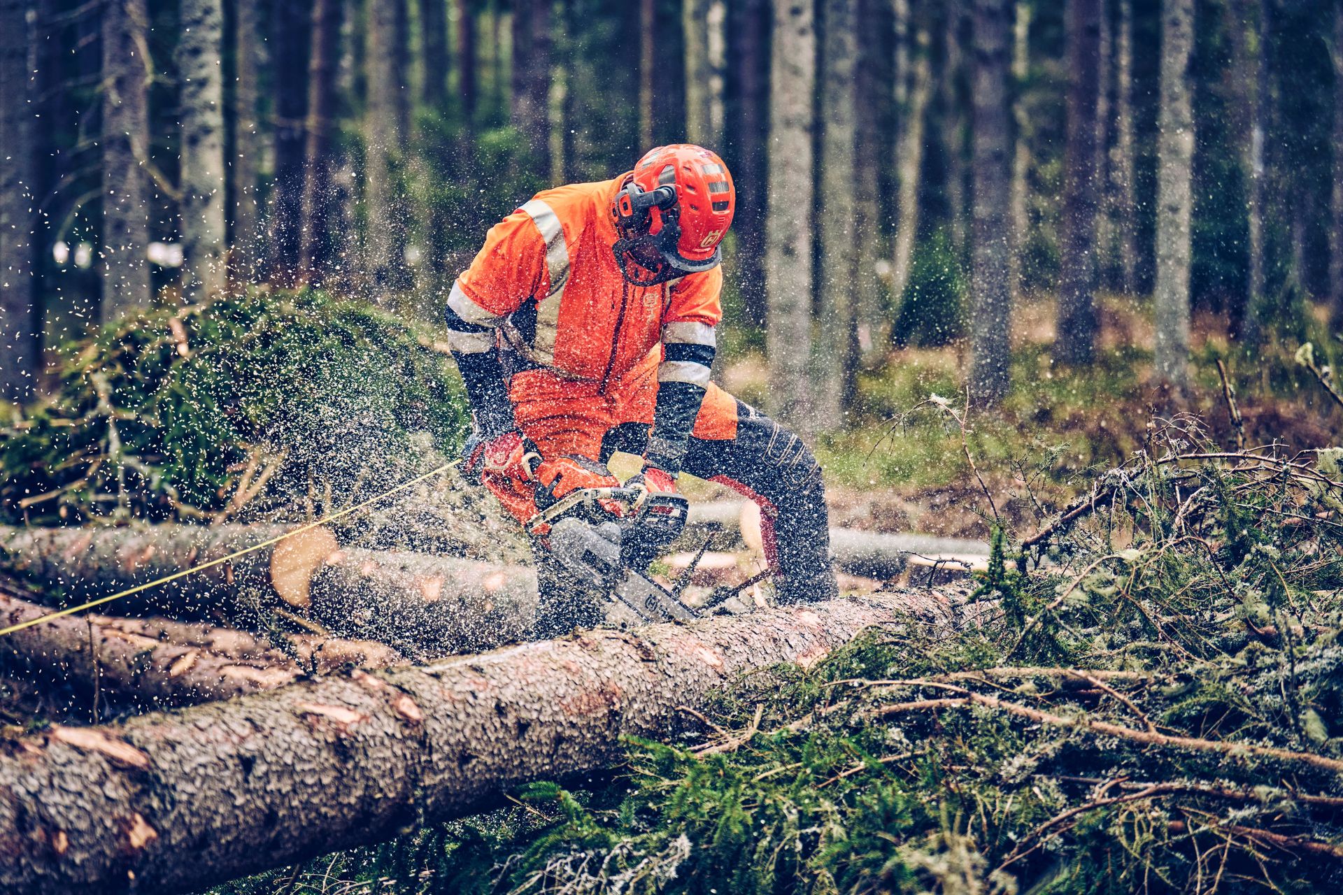 Husqvarna Motorsäge 560 XP® G Mark II 18"