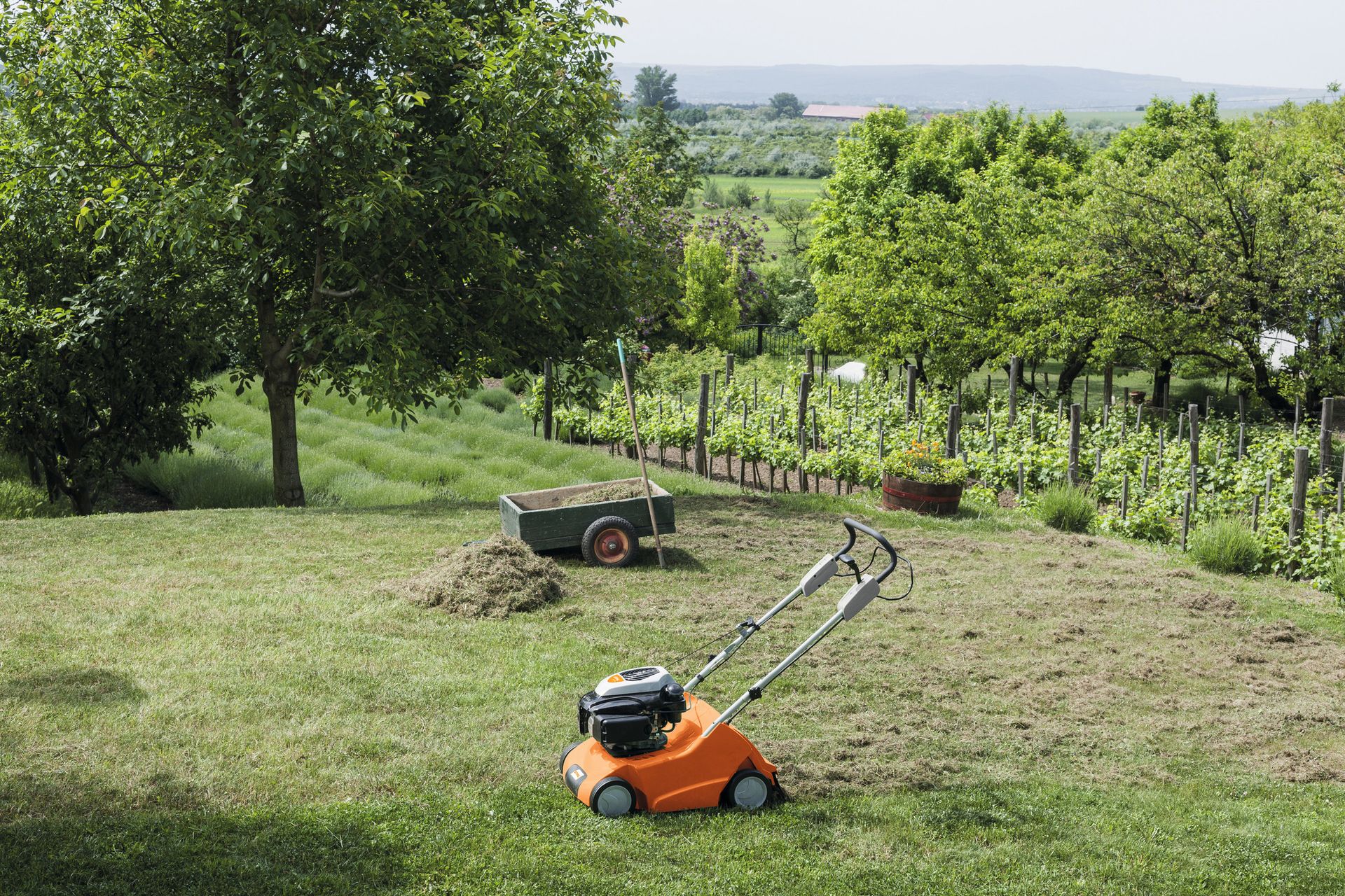 STIHL Benzin-Rasenlüfter RL 540