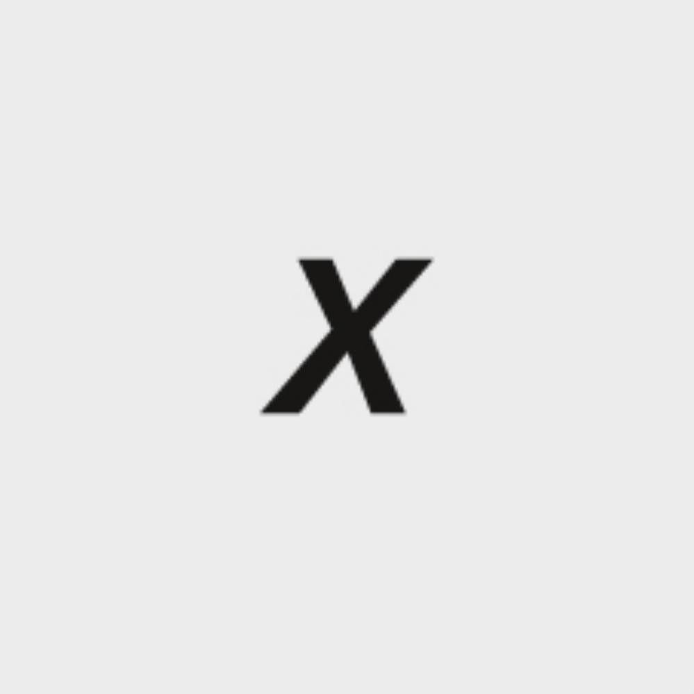 NÖLLE X-Borsten-Saalbesen
