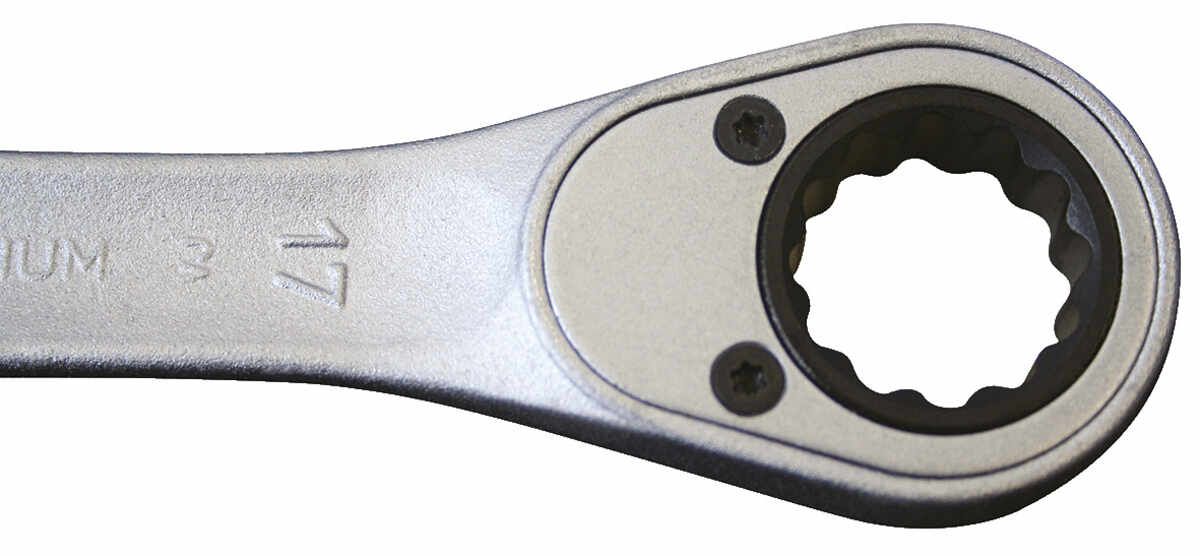 7 R 10 Maulschlüssel mit Ringratsche UD-Profil 10 mm
