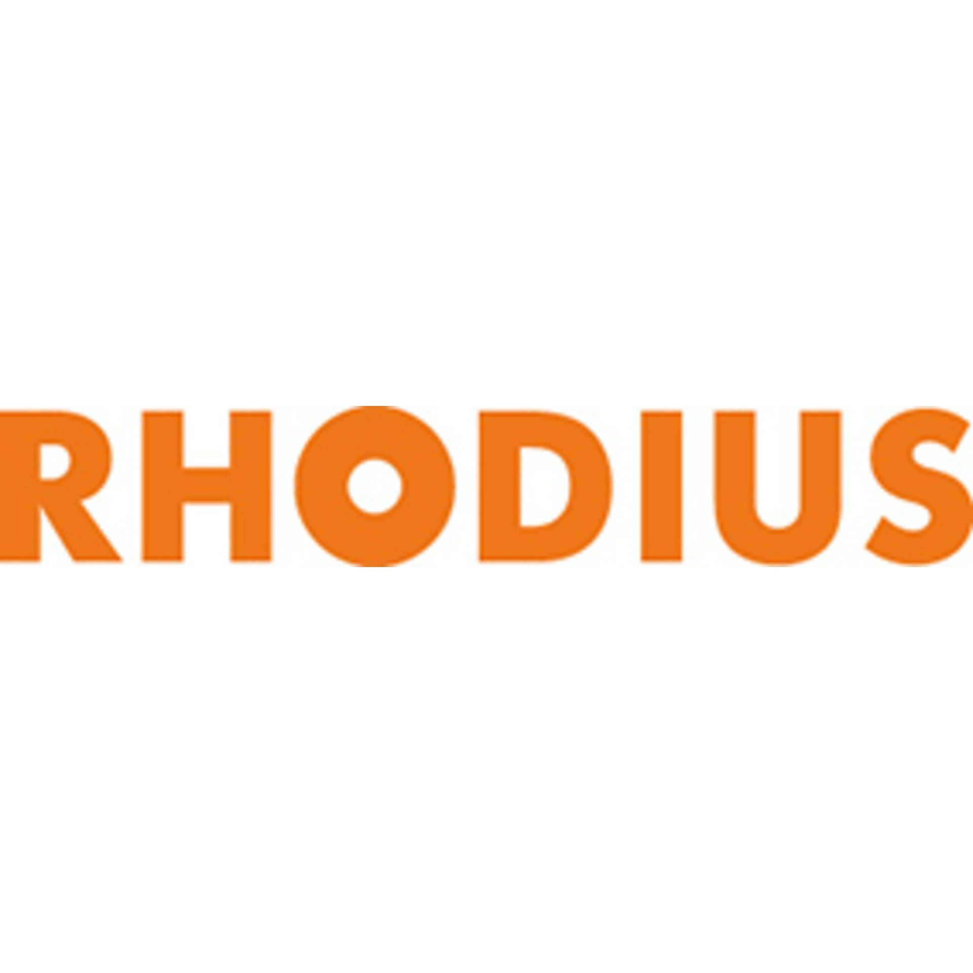 Rhodius Fächerschleifscheibe VISION PRO