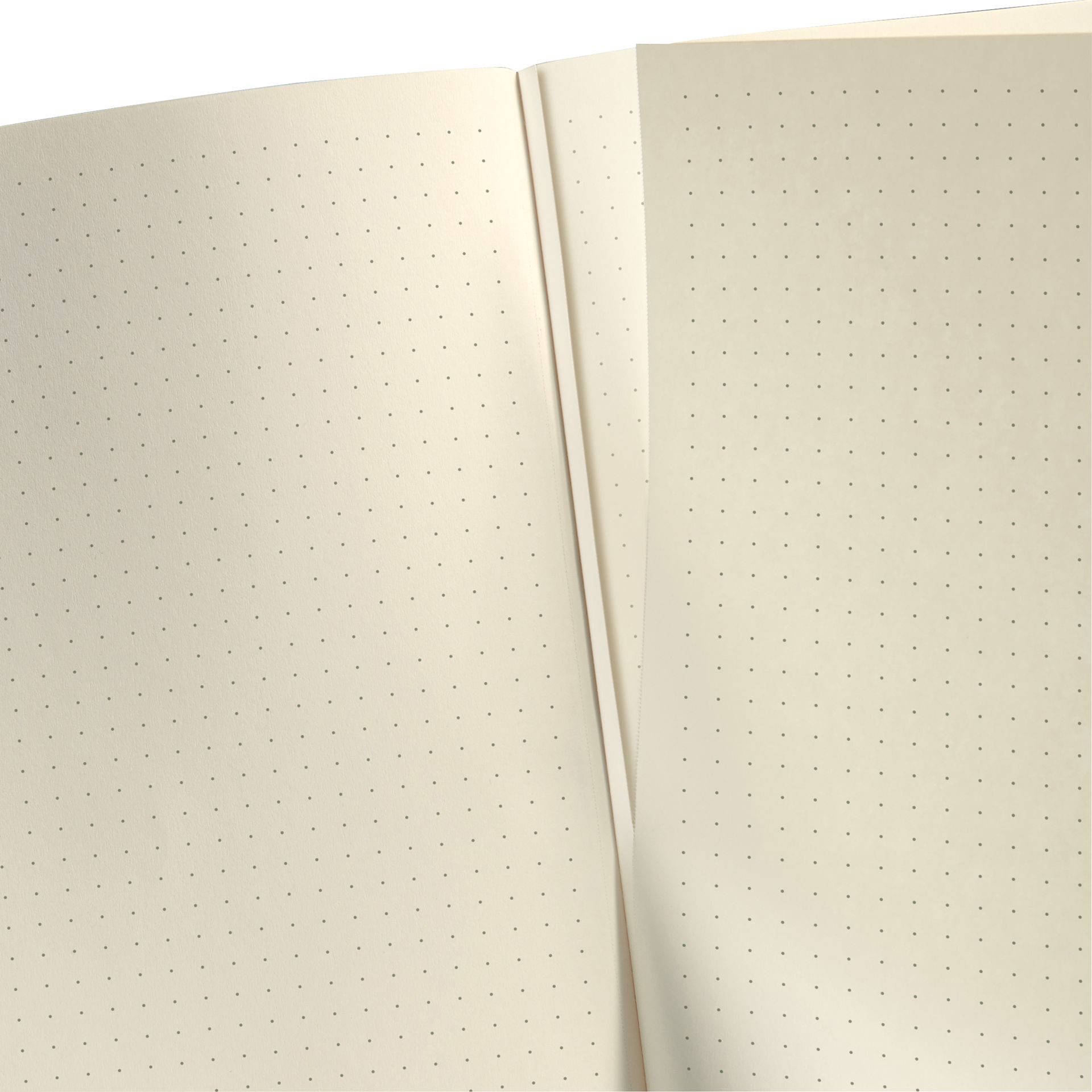 Buchkalender Conceptum A4+ 1T/1S sw