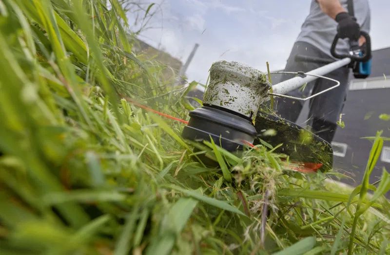 BOSCH Akku-Trimmer, SOLO