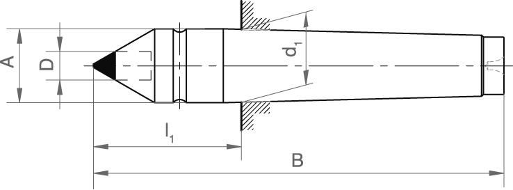 Zentrierspitze fest DIN806 MK 2 HM-Einsatz FORMAT