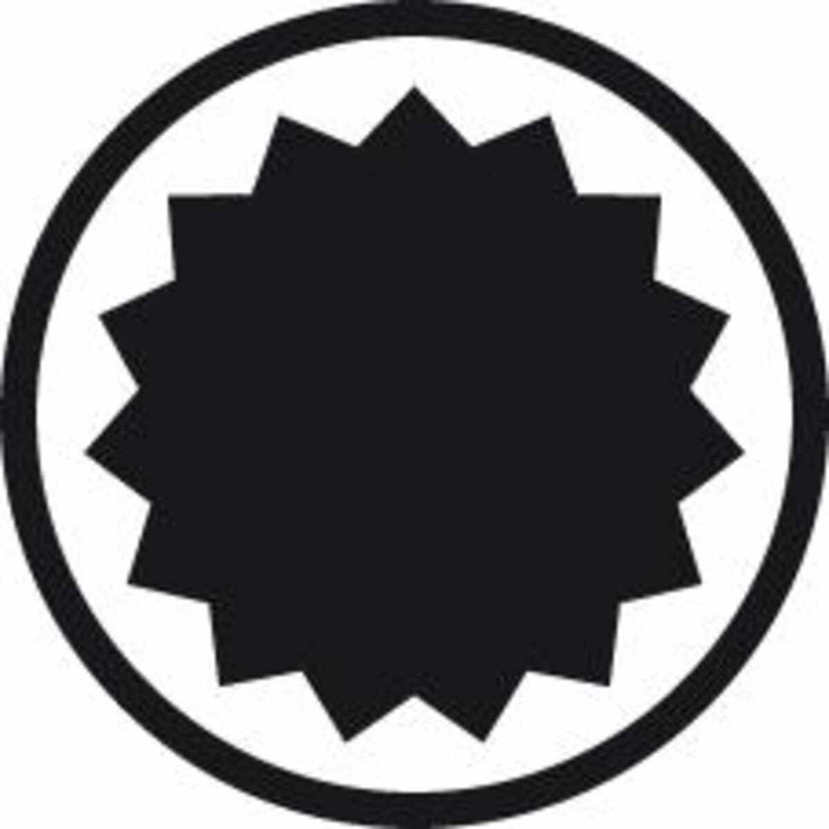 Bit-Sortiment 75-teilig FORTIS