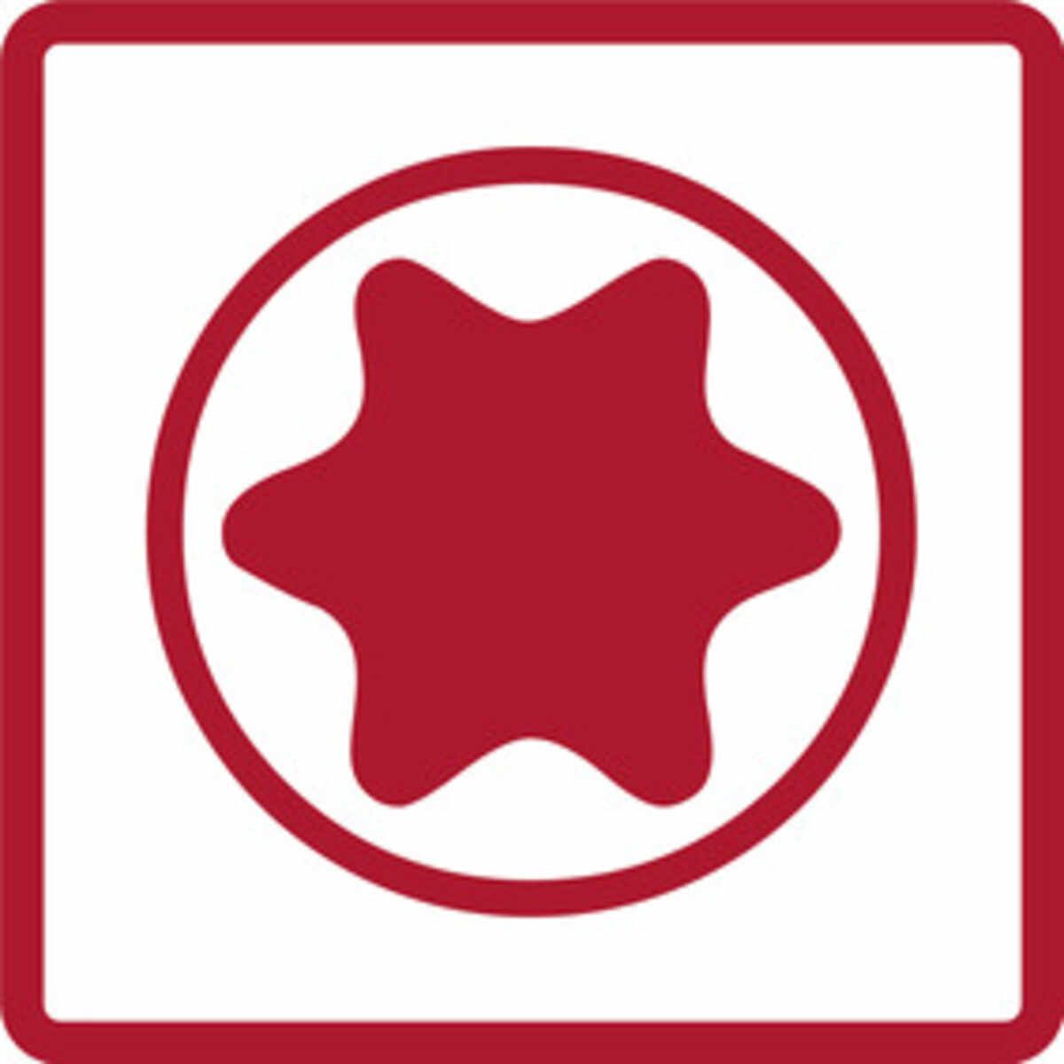 Icon: p_all_inside_torx__seal.jpg