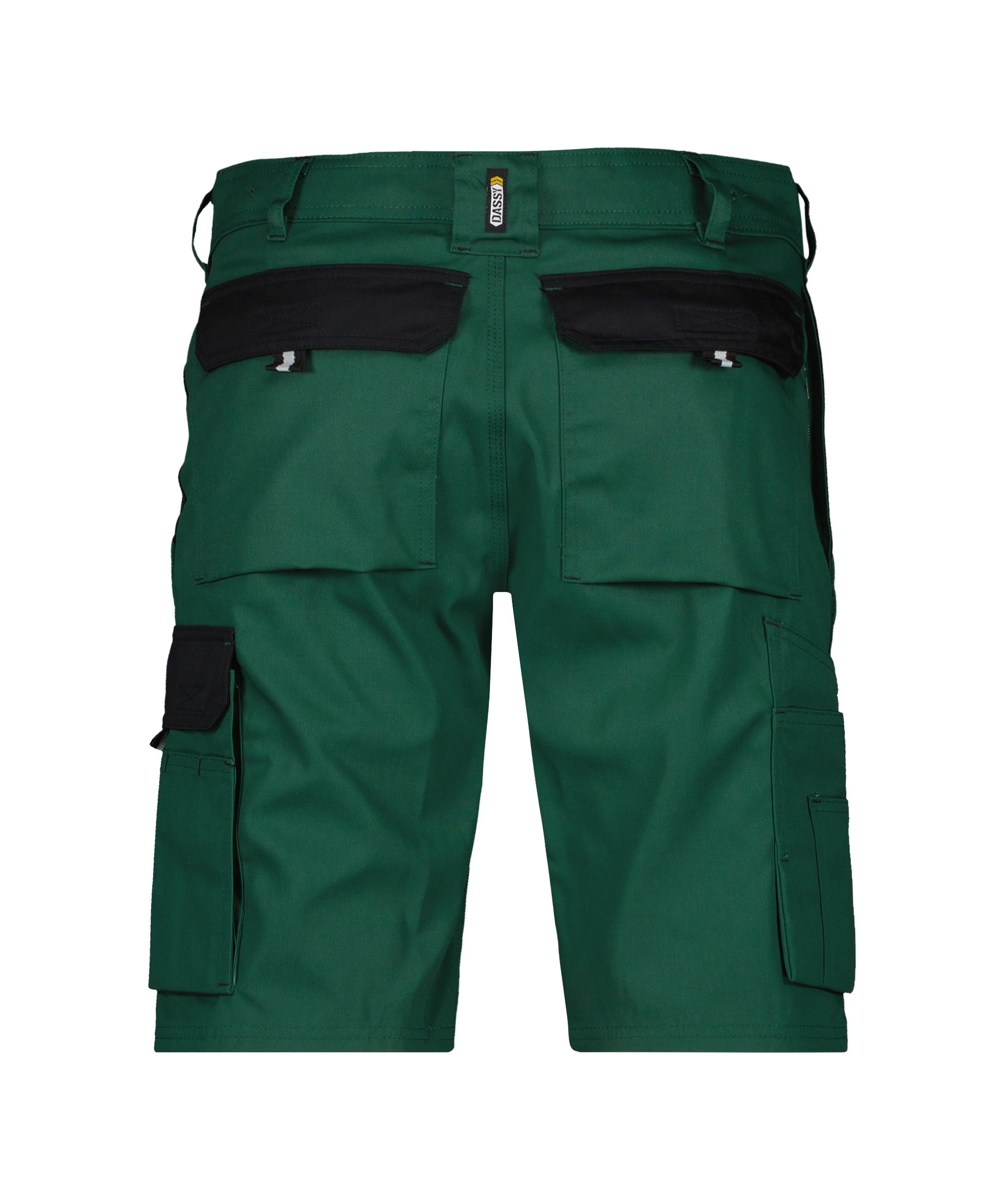 DASSY Roma Shorts