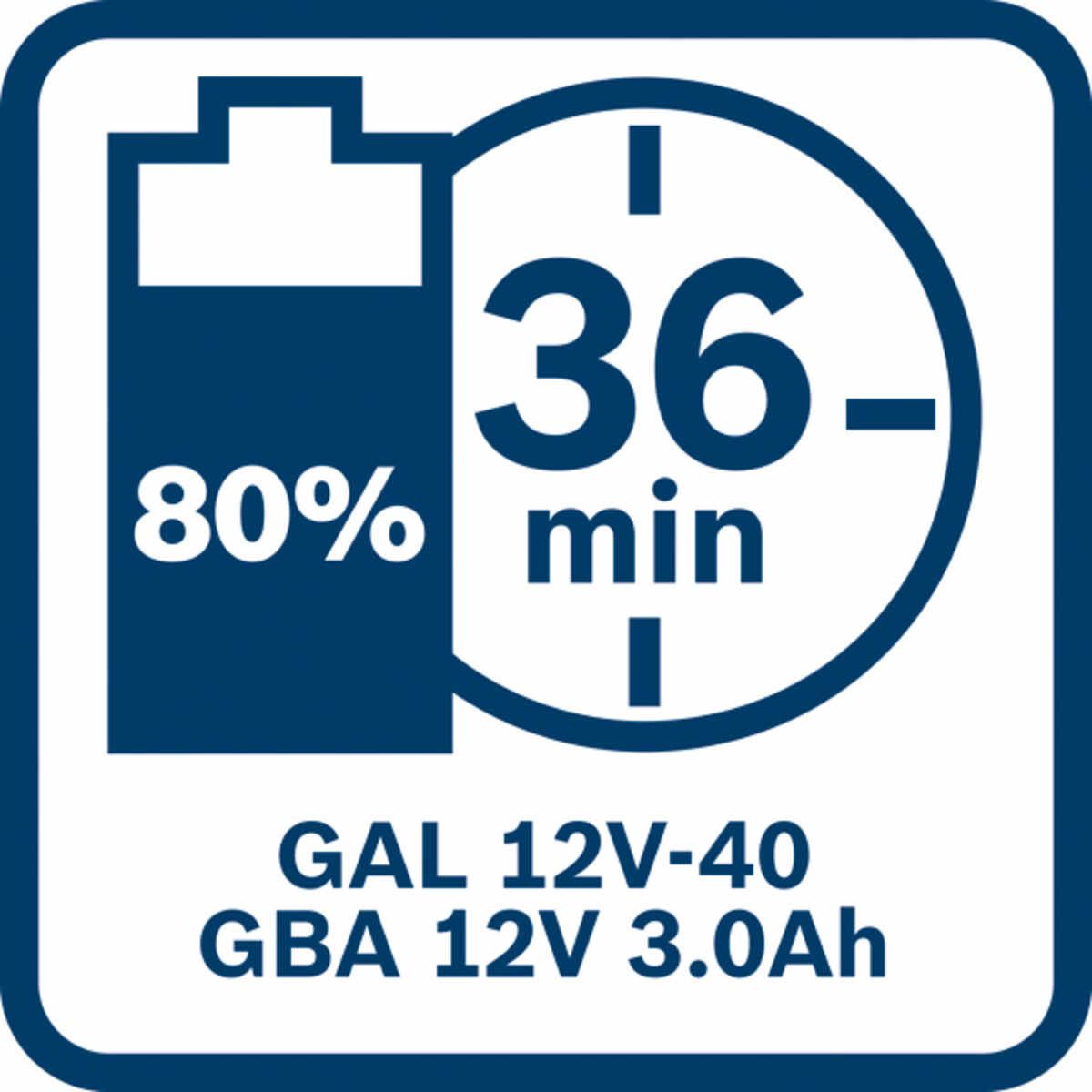Starter-Set 2 x GBA 12V 3.0Ah + GAL 12V-40