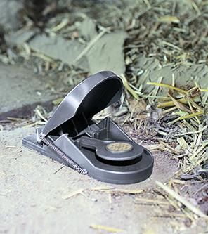 Mausefalle Supercat 2er inkl. Köder Swissinno Solution