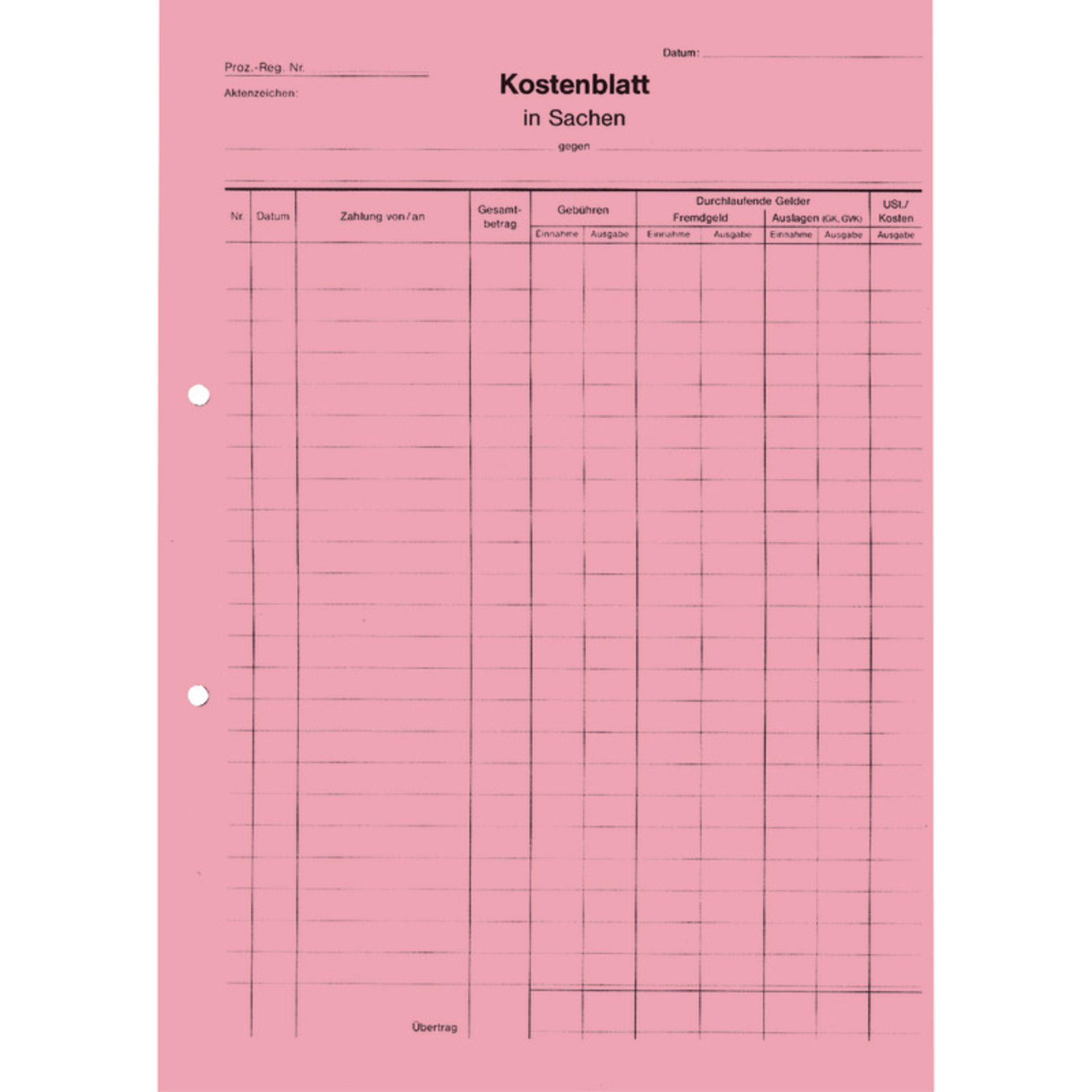 Kostenblatt A4 rt 100St