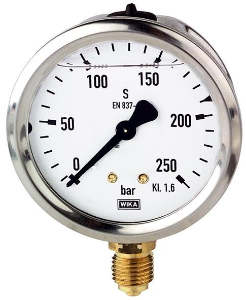 Glyzerinmanometer stehend, 40mm, -1-0 bar, G1/4", Einfachskala, CrNi-Stahl-Geh., RIEGLER