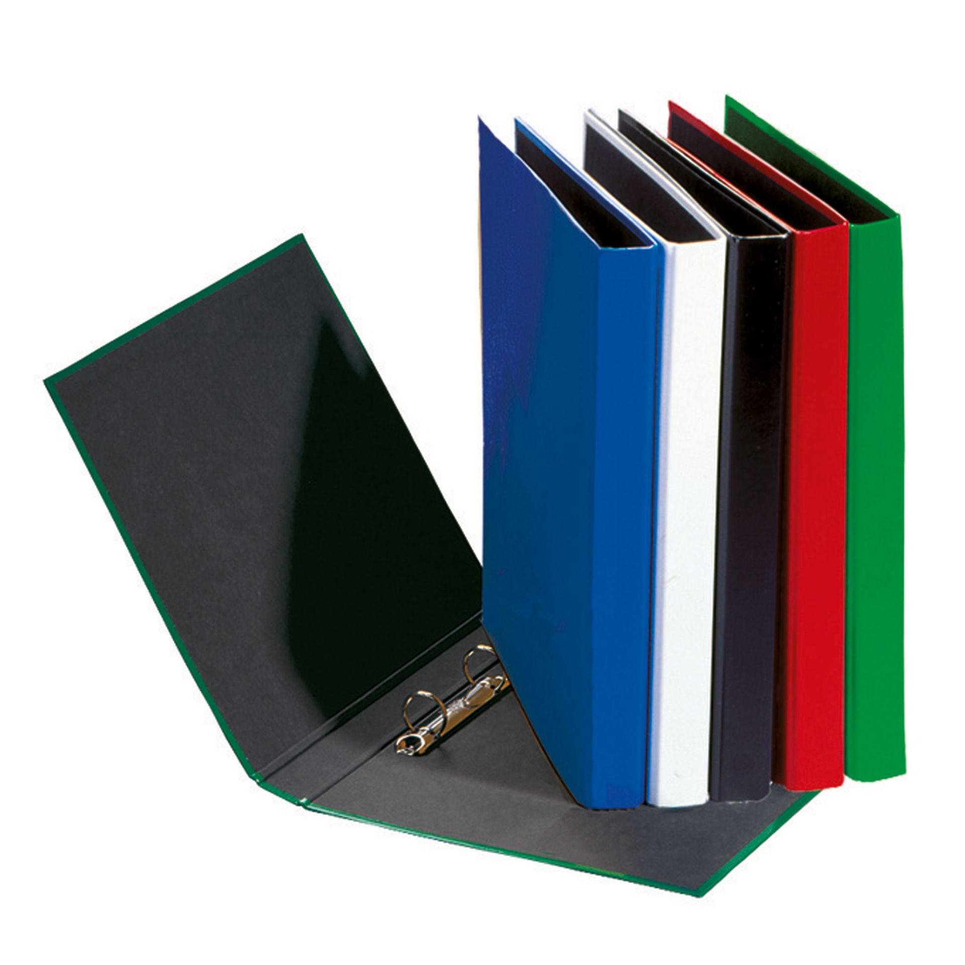 Ringbuch Basic Colours DIN A4 2Ringe PP grün