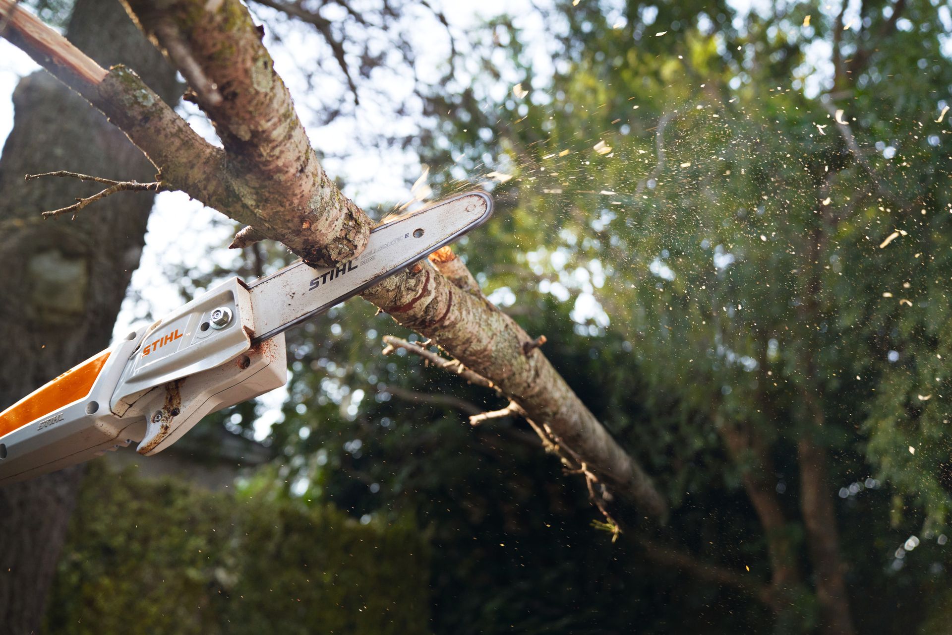 STIHL Akku-Hochentaster HTA 50