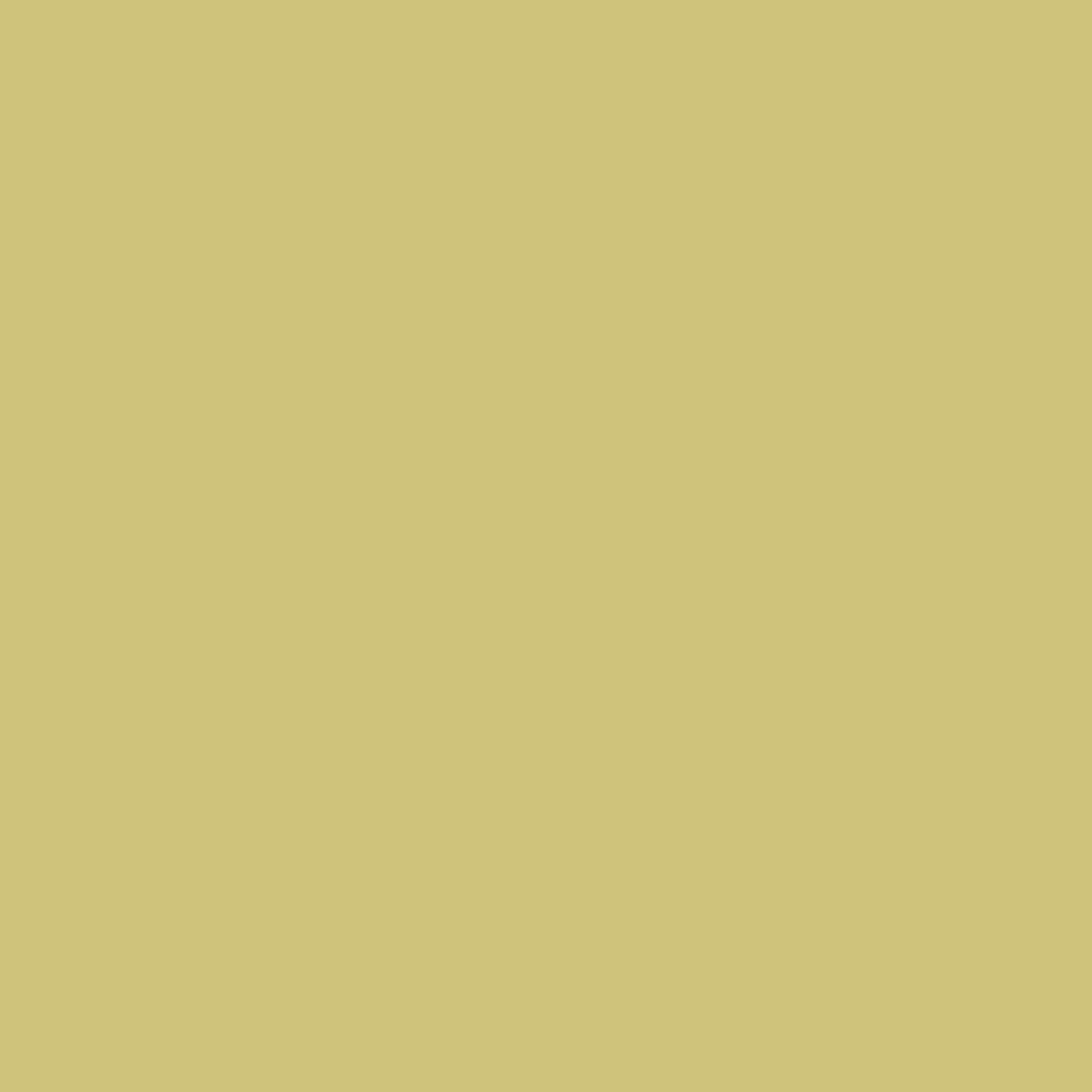 Fotokarton 50x70cm 300 g gold matt 25 St./Pack.