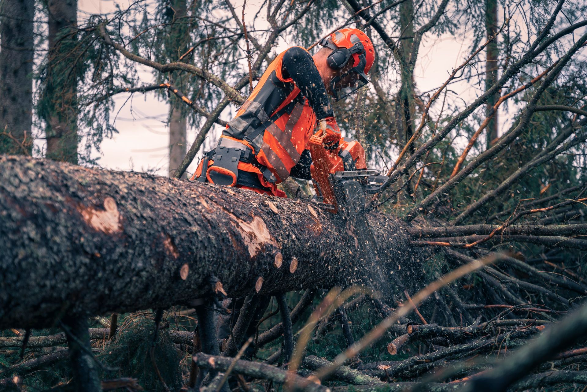 Husqvarna Motorsäge 592XP® 24"