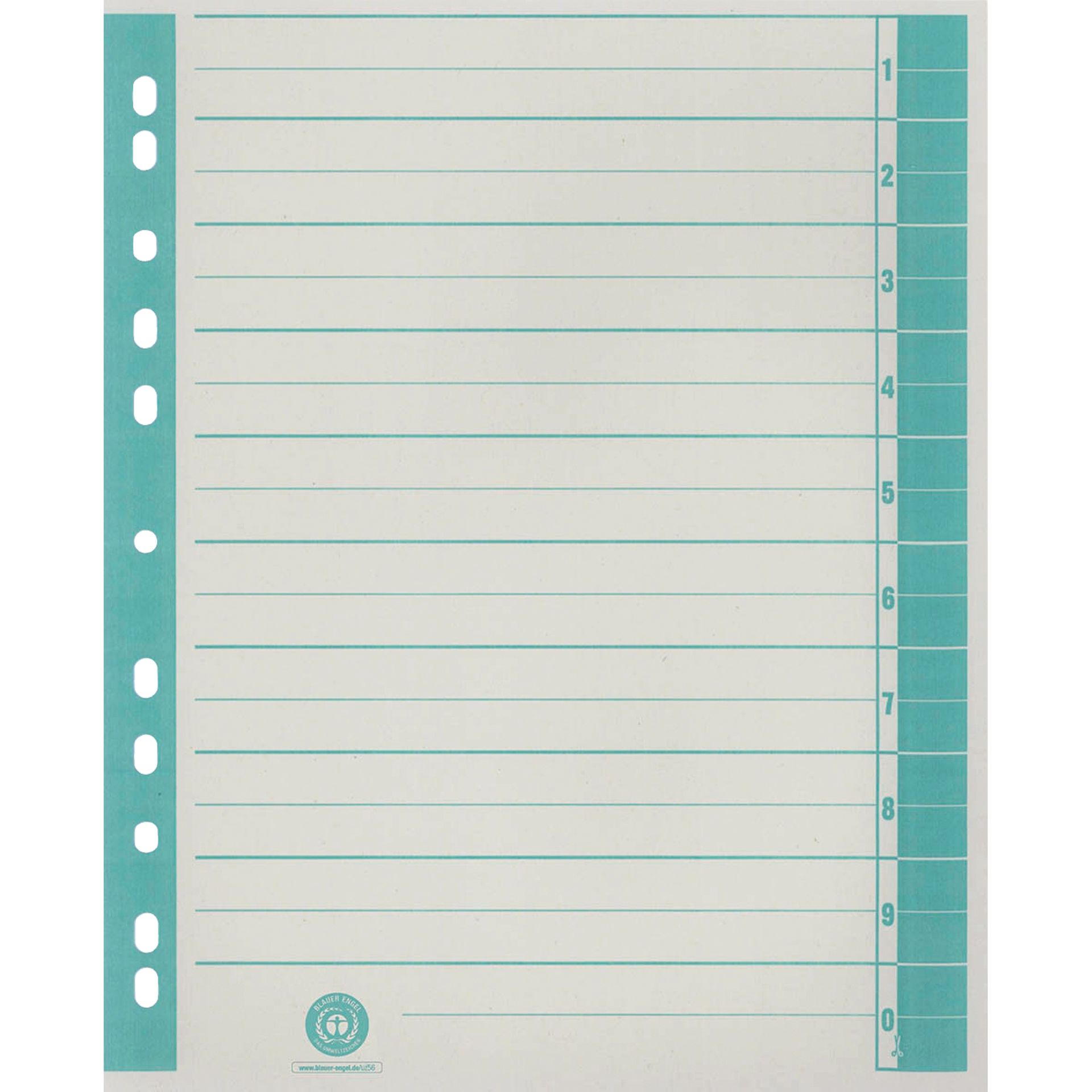 Trennblatt  RC A4 ch/gn 100St